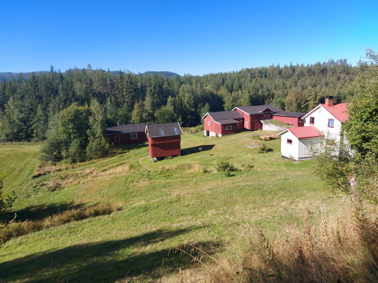 Herlige Eggedal – En Poetisk Refleksjon